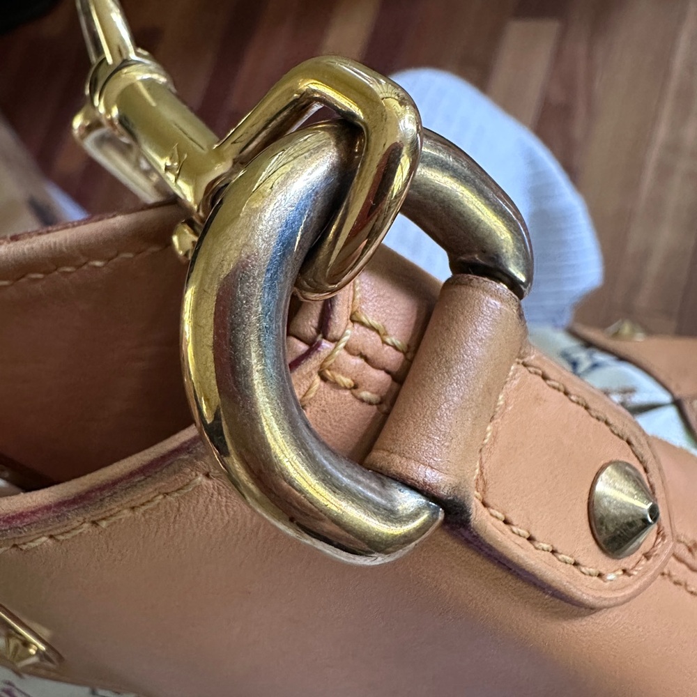 Louis Vuitton Murakami Judy white monogram multi color shoulder bag - Picture 11 of 16